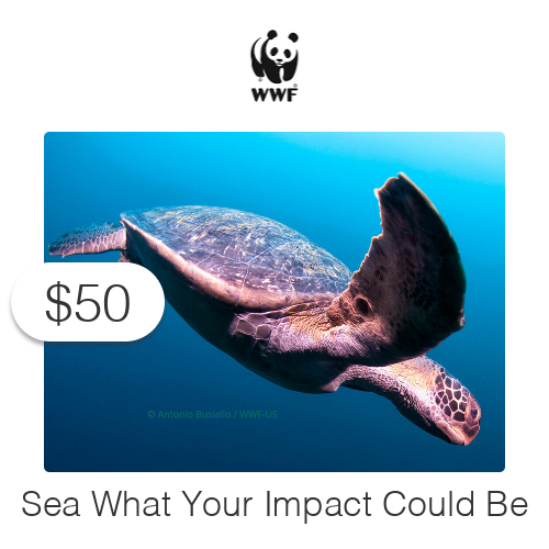 $50 Charitable Donation For: Sea What Your Impact Could Be on Wildlife